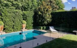 Bay Laurel (Sweet Bay) - Laurus Nobilis - 2 Gallon Pot -Garden Plant Shop Bay Laurel 7 2