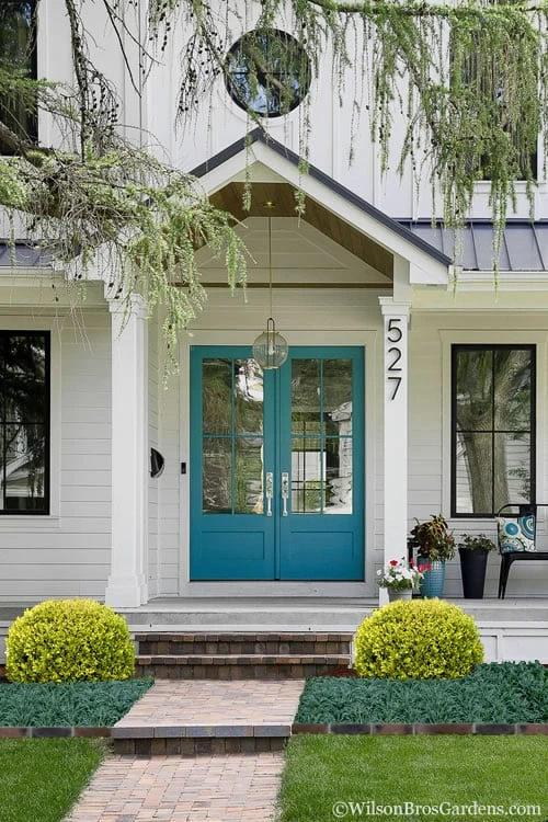 Golden Triumph Variegated Dwarf Boxwood - 3 Gallon Pot Golden Triumph Variegated Dwarf Boxwood - 3 Gallon Pot -Garden Plant Shop Boxwood Golden Triumph 7