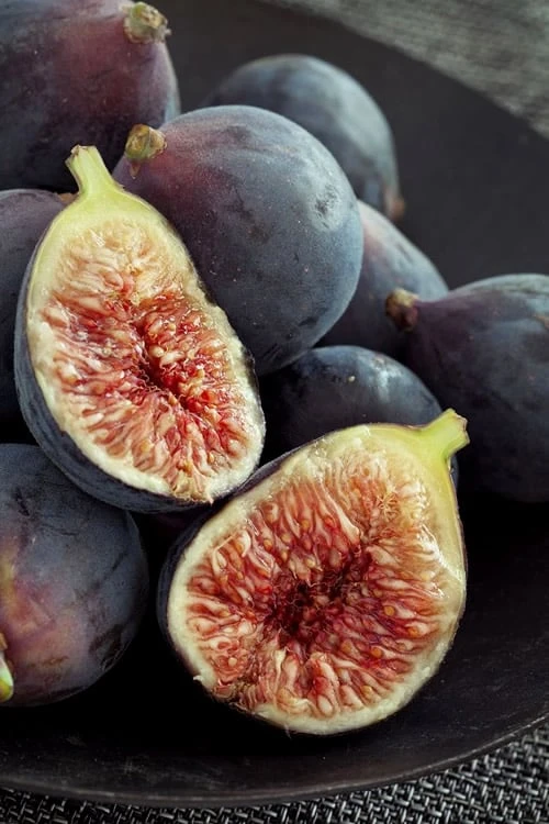 Chicago Cold Hardy Fig Tree - 2 Gallon Pot Chicago Cold Hardy Fig Tree - 2 Gallon Pot -Garden Plant Shop Fig Chicago Cold Hardy Rev 2 500x750 1