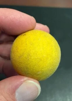 Flying Dragon Hardy Orange Tree - 7 Gallon Pot (3-4') -Garden Plant Shop Orange Flying Dragon 6 1