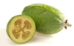 Pineapple Guava -Feijoa Sellowiana - 7 Gallon Pot -Garden Plant Shop Pineapple Guava Fruit