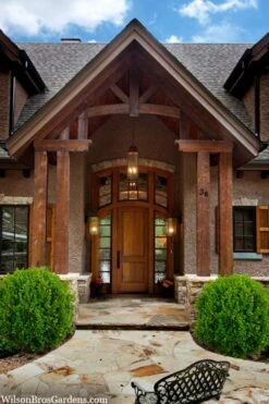 Winterstar Boxwood - 2 Gallon Pot 3 Winterstar Boxwood - 2 Gallon Pot -Garden Plant Shop buxus winterstar boxwood 3 1