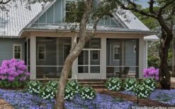 Snow Globe Gardenia - 3 Gallon Pot 5 Snow Globe Gardenia - 3 Gallon Pot -Garden Plant Shop gardenia jasminoides snow globe 2