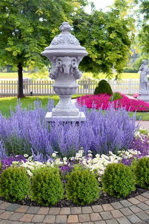 Blue Jean Baby Russian Sage (Perovskia) - 1 Gallon Pot Blue Jean Baby Russian Sage (Perovskia) - 1 Gallon Pot -Garden Plant Shop perovskia atriplicifolia denim n lace russian sage 14 1