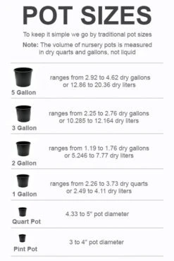 Garden Plant Shop -Garden Plant Shop pot size chart 2022 3277